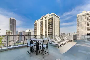 1000 N Lake Shore Dr, Chicago, IL 60611 - Photo 27