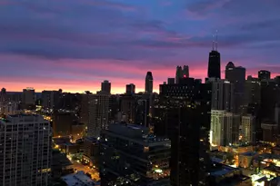 303 W Ohio St, Chicago, IL 60654 - Photo 31