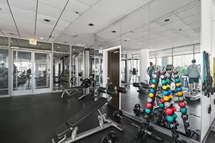 303 W Ohio St, Chicago, IL 60654 - Photo 35