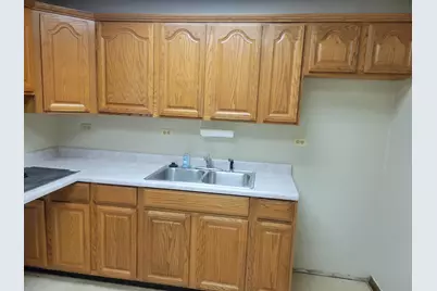 6655 Kitty Avenue, Chicago Ridge, IL 60415 - Photo 13