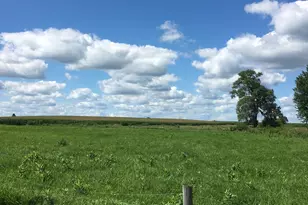 30113 1900 North Ave, Malden, IL 61337 - Photo 67