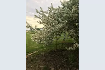 30113 1900 North Avenue, Malden, IL 61337 - Photo 65