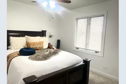 11413 S Kristi Drive, Plainfield, IL 60585 - Photo 21