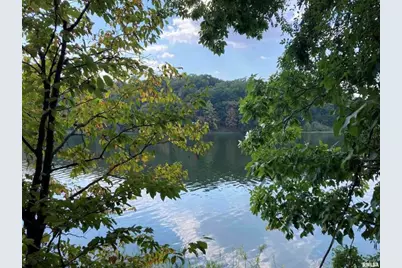 Lot 148 and Lot 501 Parrish Ridge Lane, Orangeville, IL 62939 - Photo 7