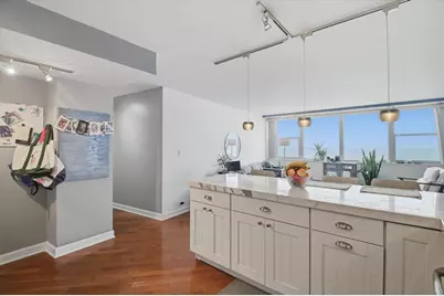 1150 N Lake Shore Drive #11D, Chicago, IL 60611 - Photo 3