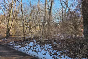 Lot #3-5 Hayes Rd, Algonquin, IL 60102 - Photo 1