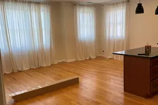 4165 S Ellis Ave, Chicago, IL 60653 - Photo 3