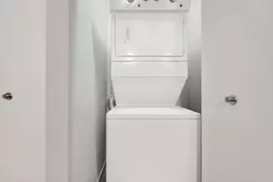 320 E 21st St, Chicago, IL 60616 - Photo 19