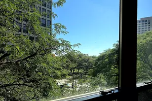 5050 S East End Ave, Chicago, IL 60615 - Photo 11