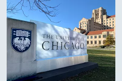 5050 S East End Avenue #4B, Chicago, IL 60615 - Photo 25