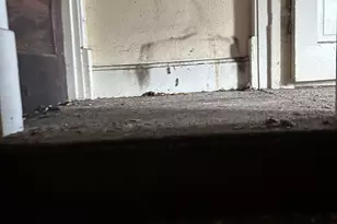 1619 S Faraday Ave, Peoria, IL 61605 - Photo 13