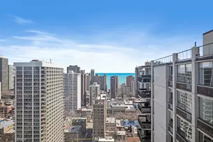 1360 N Sandburg Terrace, Chicago, IL 60610 - Photo 5