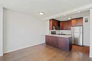 1360 N Sandburg Terrace, Chicago, IL 60610 - Photo 13