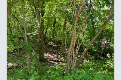 Lots 11 & 12 Ravine Drive, Spring Grove, IL 60081 - Photo 3