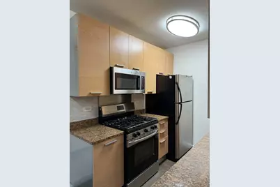 5400 S Harper Avenue #204, Chicago, IL 60615 - Photo 5