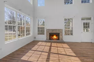 24190 W Pear Tree Circle, Plainfield, IL 60585 - Photo 3