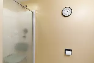 6010 Lake Bluff Dr, Tinley Park, IL 60477 - Photo 19