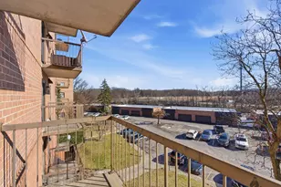 6010 Lake Bluff Dr, Tinley Park, IL 60477 - Photo 21