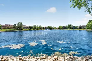571 Northern Lights Way, New Lenox, IL 60451 - Photo 55