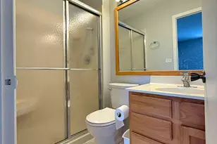 314 Wildberry Ct, Schaumburg, IL 60193 - Photo 13