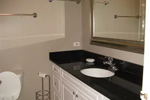 111 E Chestnut St, Chicago, IL 60611 - Photo 13