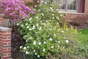 1095 Lancaster Ct, Hoffman Estates, IL 60169 - Photo 37