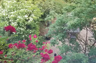 1095 Lancaster Ct, Hoffman Estates, IL 60169 - Photo 33