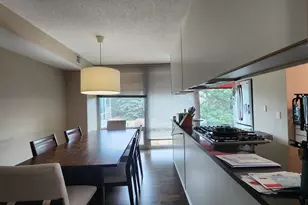 9655 Woods Dr, Skokie, IL 60077 - Photo 47