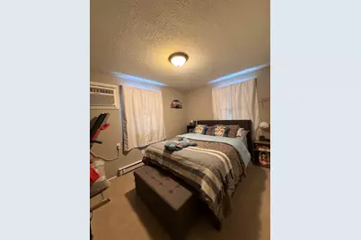 382 N Birch Street, Manteno, IL 60950 - Photo 13