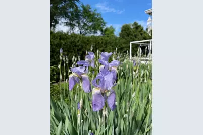 454 Harvard Avenue, Barrington, IL 60010 - Photo 43