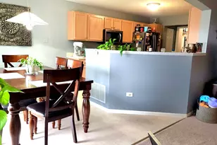 25734 S Bridle Path, Channahon, IL 60410 - Photo 9