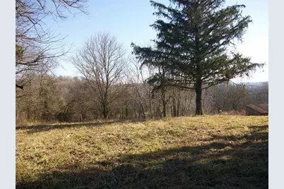 605 N Blackjack Road, Galena, IL 61036 - Photo 5