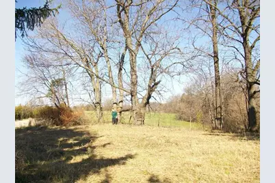 605 N Blackjack Road, Galena, IL 61036 - Photo 3