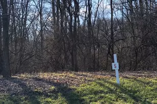 17220 Oak Meadow #5 Oak Meadow Ct Ct, Homer Glen, IL 60491 - Photo 1