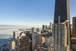 1000 N Lake Shore Plaza, Chicago, IL 60611 - Photo 39