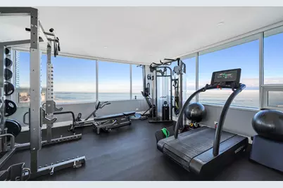 1000 N Lake Shore Plaza #47AB, Chicago, IL 60611 - Photo 33