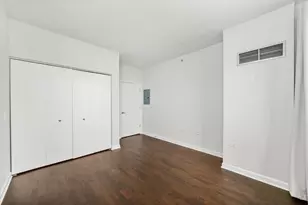 100 E 14th St, Chicago, IL 60605 - Photo 19