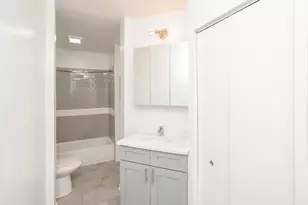 46 E Chicago Ave, Chicago, IL 60611 - Photo 7