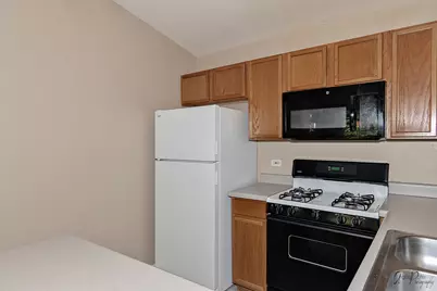 1187 N Red Oak Circle #3, Round Lake Beach, IL 60073 - Photo 11