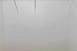 1187 N Red Oak Cir, Round Lake Beach, IL 60073 - Photo 19