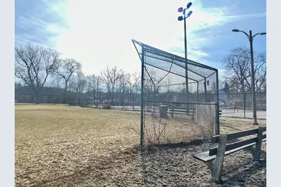 1039 W 103rd Street, Chicago, IL 60643 - Photo 41