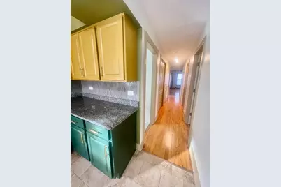 1039 W 103rd Street, Chicago, IL 60643 - Photo 11