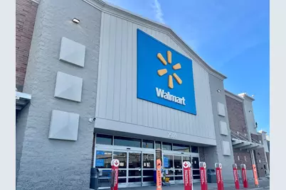 1039 W 103rd Street, Chicago, IL 60643 - Photo 67