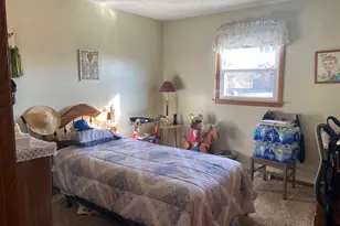 19 Capri St, Streator, IL 61364 - Photo 11