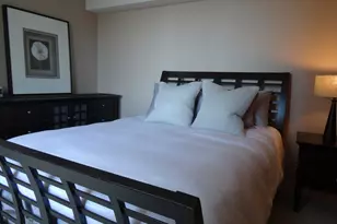 440 N McClurg Ct, Chicago, IL 60611 - Photo 13