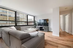 33 E Cedar St, Chicago, IL 60611 - Photo 7