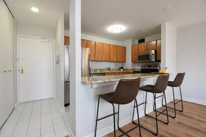 33 E Cedar Street #15F, Chicago, IL 60611 - Photo 11