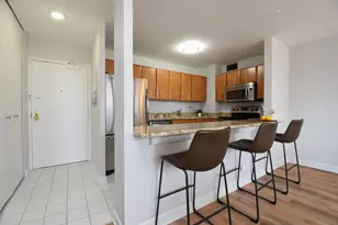 33 E Cedar St, Chicago, IL 60611 - Photo 11