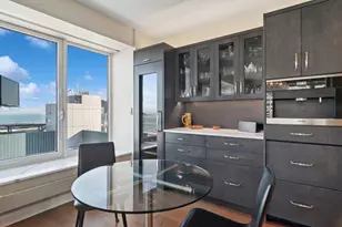 161 E Chicago Ave, Chicago, IL 60611 - Photo 5