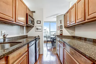 88 W Schiller Street #2602, Chicago, IL 60610 - Photo 17